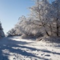 Wasserkuppe-Winter-209