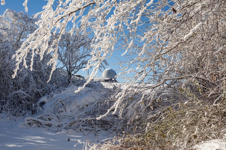 Wasserkuppe-Winter-210