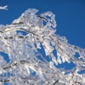 Wasserkuppe-Winter-217