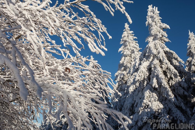 Wasserkuppe-Winter-222