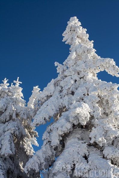 Wasserkuppe-Winter-231