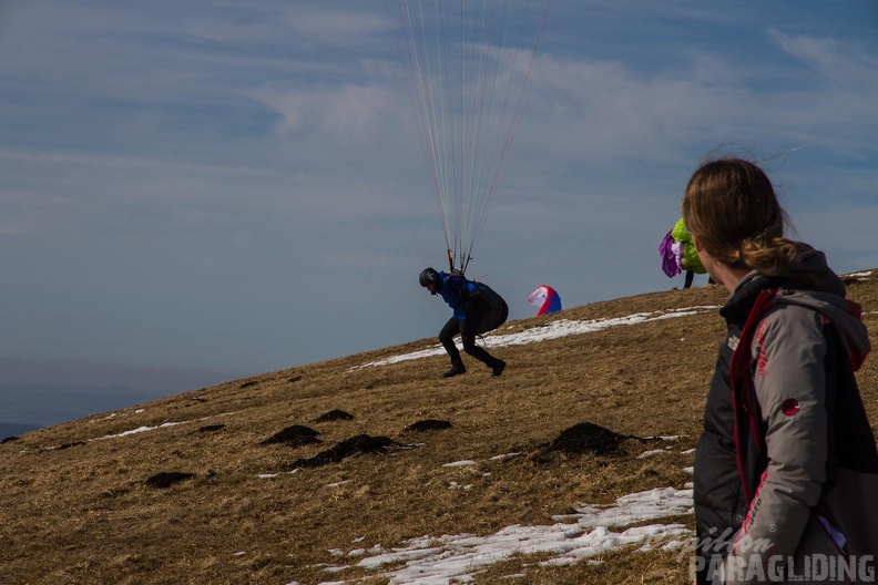 RK11 15 Paragliding Wasserkuppe-392