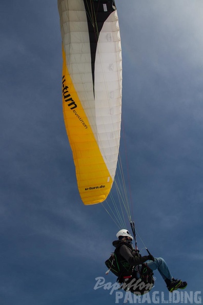 RK11 15 Paragliding Wasserkuppe-742