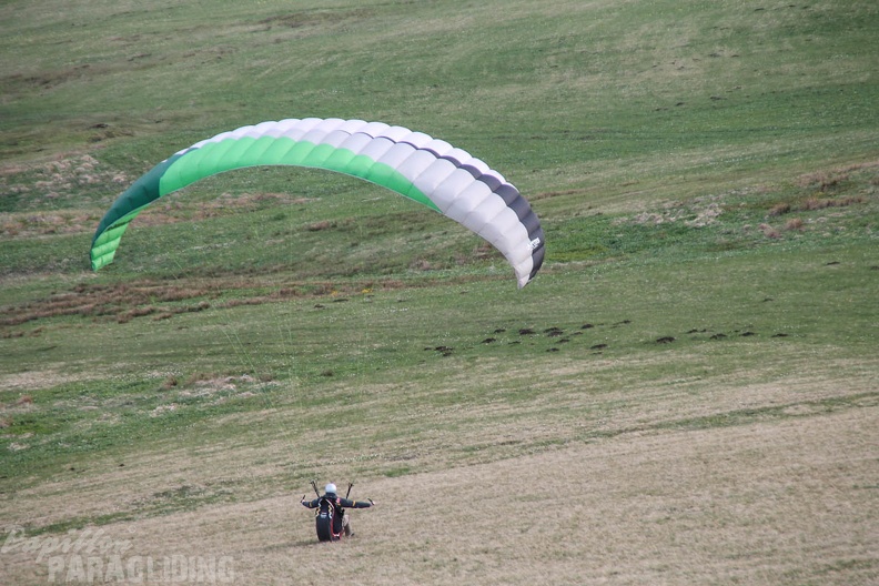RK19 15 Wasserkuppe-Paragliding-141