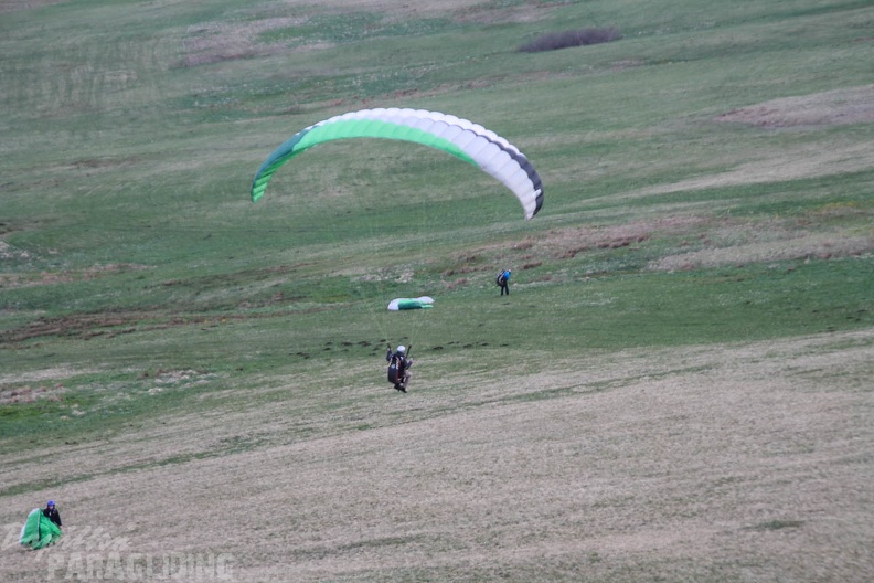 RK19 15 Wasserkuppe-Paragliding-152