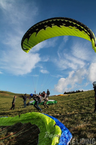 RK19 15 Wasserkuppe-Paragliding-207