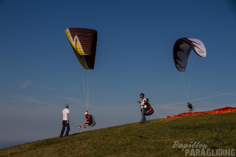 RK36_15_Suedhang_Wasserkuppe-1011.jpg