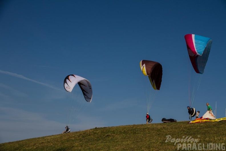 RK36_15_Suedhang_Wasserkuppe-1381.jpg