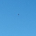 RK18.16 Paragliding-210