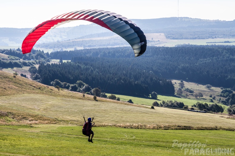 Papillon_Paragliding_Suedhang_10.jpg