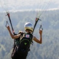 Papillon Paragliding Suedhang 104