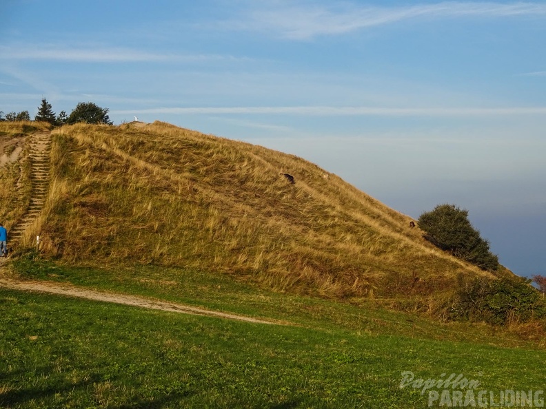 RK35.16 Papillon-Wasserkuppe-1027