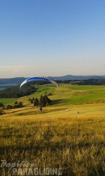 RK35.16 Papillon-Wasserkuppe-1035