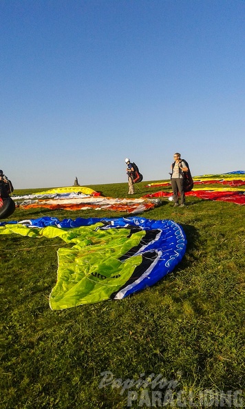 RK35.16_Papillon-Wasserkuppe-1048.jpg