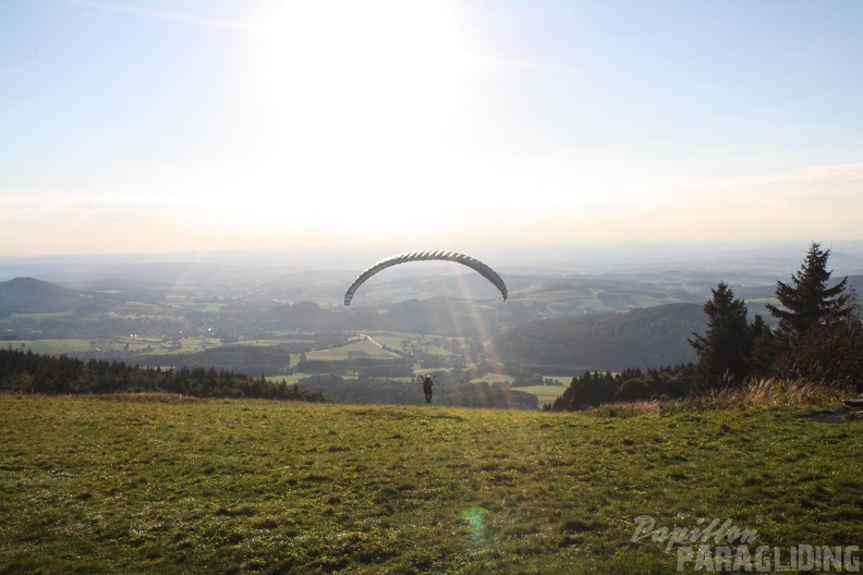 RK35.16 Papillon-Wasserkuppe-1086