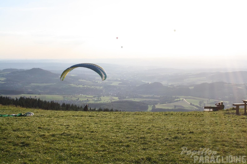 RK35.16 Papillon-Wasserkuppe-1087