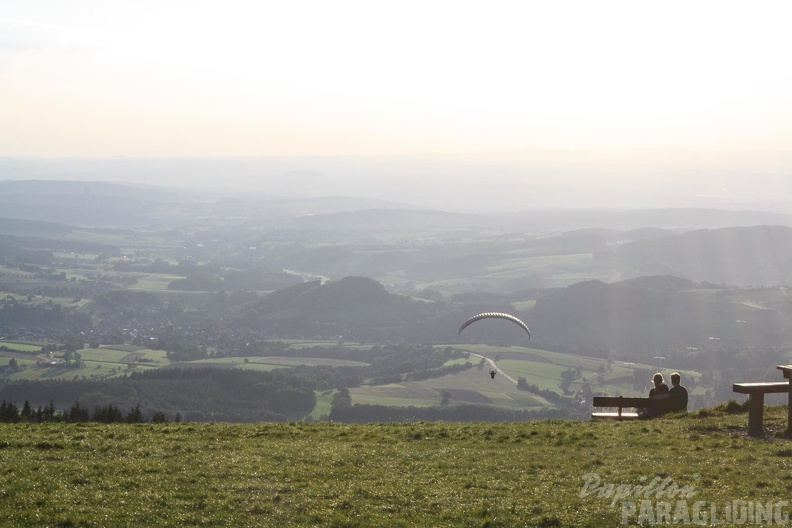 RK35.16 Papillon-Wasserkuppe-1091