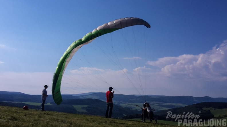 RK35.16 Papillon-Wasserkuppe-1141