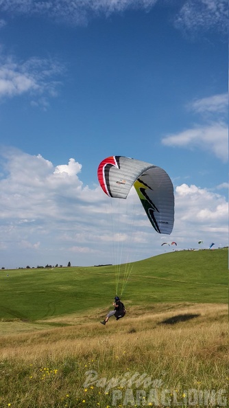 RK35.16 Papillon-Wasserkuppe-1145