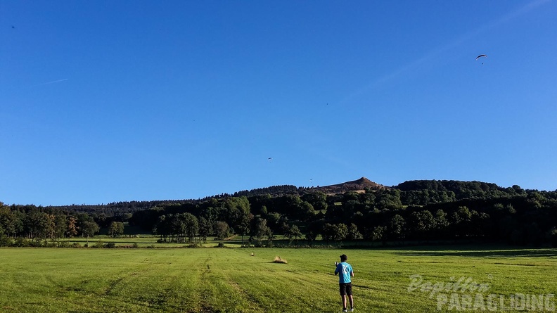 RK35.16_Papillon-Wasserkuppe-1194.jpg