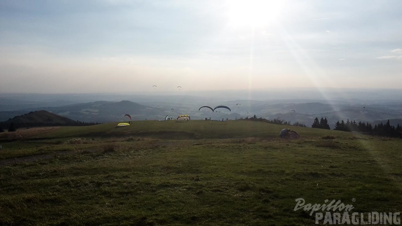 RK35.16_Papillon-Wasserkuppe-1230.jpg