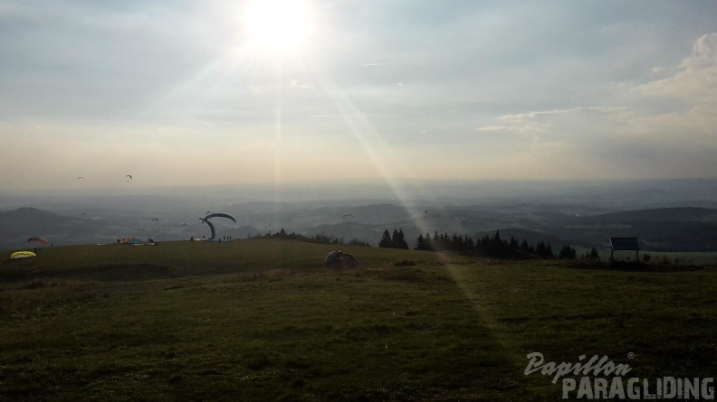 RK35.16 Papillon-Wasserkuppe-1232