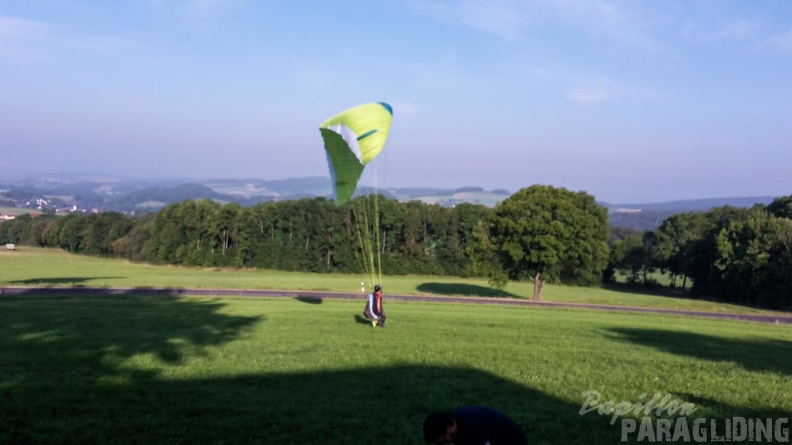 RK35.16 Papillon-Wasserkuppe-1241