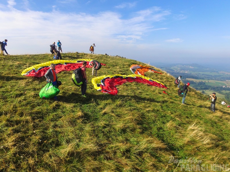 RK35.16_Papillon-Wasserkuppe-1289.jpg