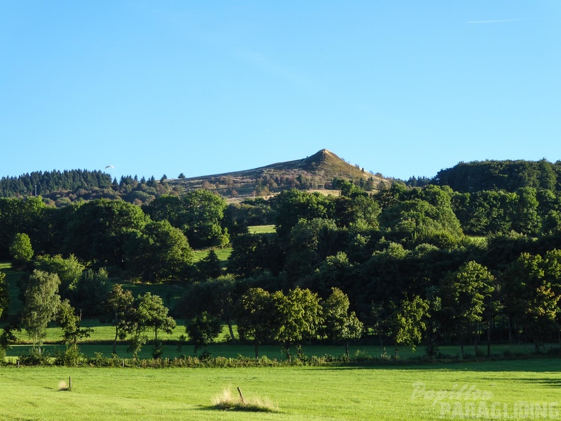 RK35.16_Papillon-Wasserkuppe-1309.jpg