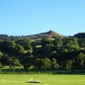 RK35.16 Papillon-Wasserkuppe-1309