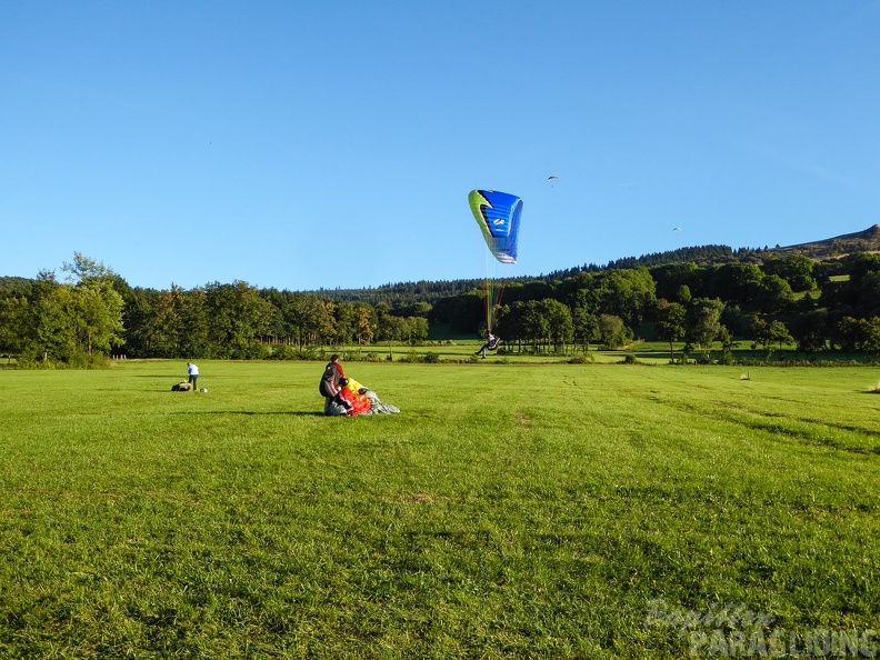 RK35.16 Papillon-Wasserkuppe-1312