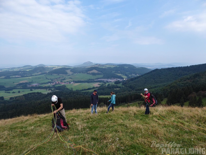 RK35.16_Papillon-Wasserkuppe-1314.jpg