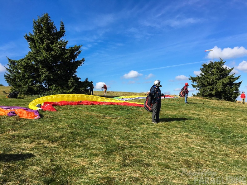 RK35.16_Papillon-Wasserkuppe-2005.jpg