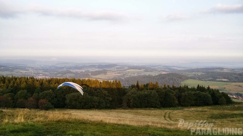 RK37.17 Kombikurs-Papillon-3013