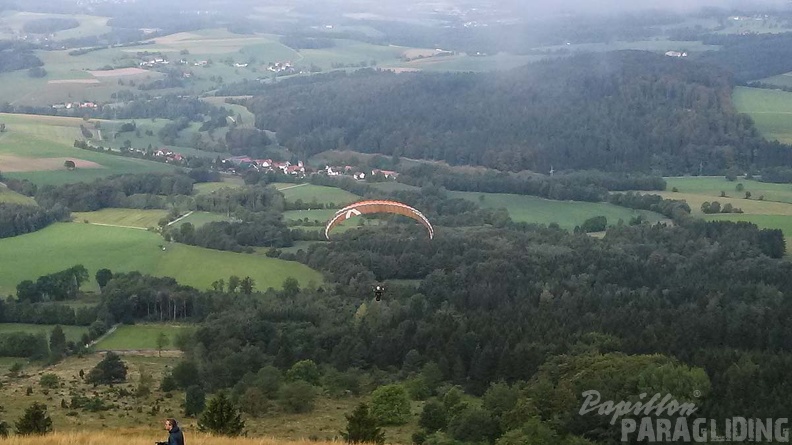 RK37.17 Kombikurs-Papillon-3104