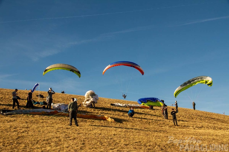 RS15.18 Suedhang Paragliding-Wasserkuppe-546