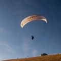 RS15.18 Suedhang Paragliding-Wasserkuppe-664