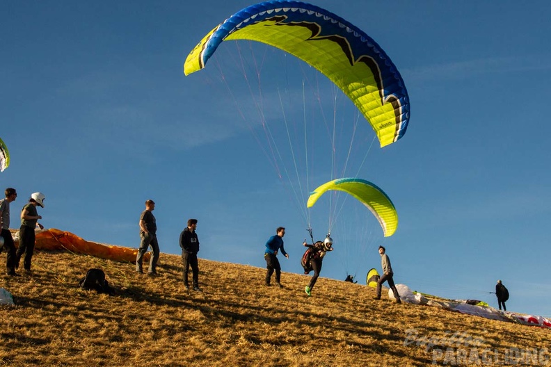 RS15.18 Suedhang Paragliding-Wasserkuppe-762