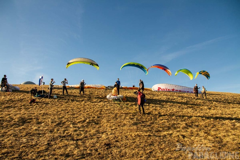 RS15.18 Suedhang Paragliding-Wasserkuppe-781