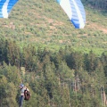 Sauerland 79