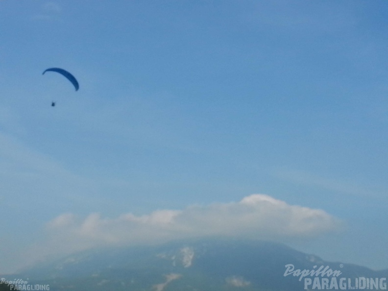 Bled und Bohinj Paragliding