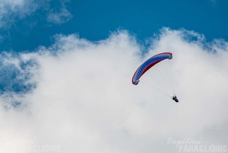 FWA22.21-Watles-Paragliding-186.jpg