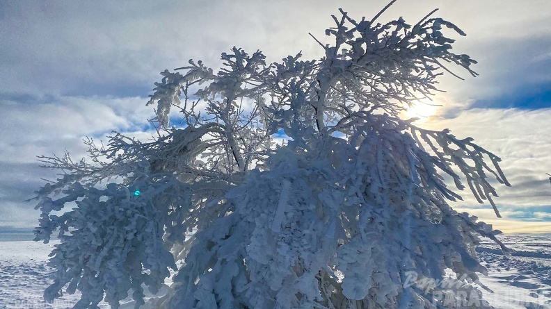 wasserkuppe-winter-2022-106