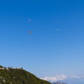 as12.22-paragliding-stubai-120