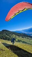 fk28.22-kaernten-flugsafari-papillon-175