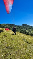 fk28.22-kaernten-flugsafari-papillon-179