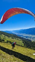 fk28.22-kaernten-flugsafari-papillon-183