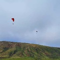 FLA50.22 papillon-paragliding-109