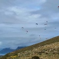 FLA50.22 papillon-paragliding-118