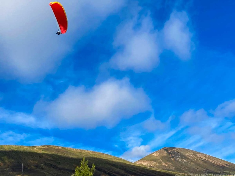 FLA50.22_papillon-paragliding-123.jpg